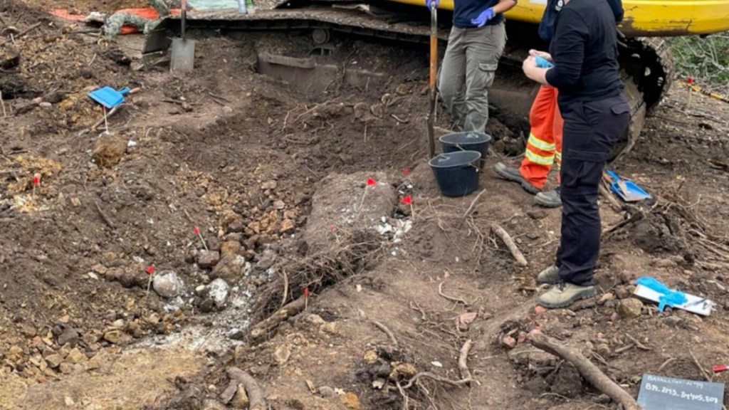 Nuevo hallazgo de restos de probable desaparecido durante dictadura en Uruguay