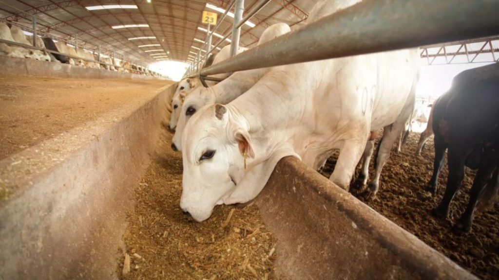 Emergencia sanitaria: Congreso exime impuestos para erradicación de gusano barrenador