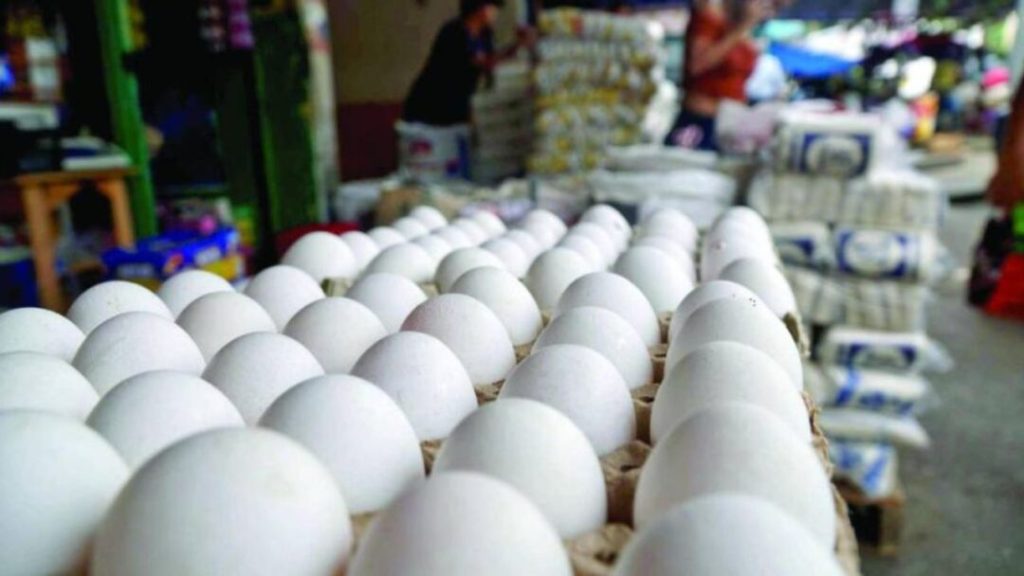 Aumento de 5 lempiras en el precio del cartón de huevos impacta a consumidores en Tegucigalpa