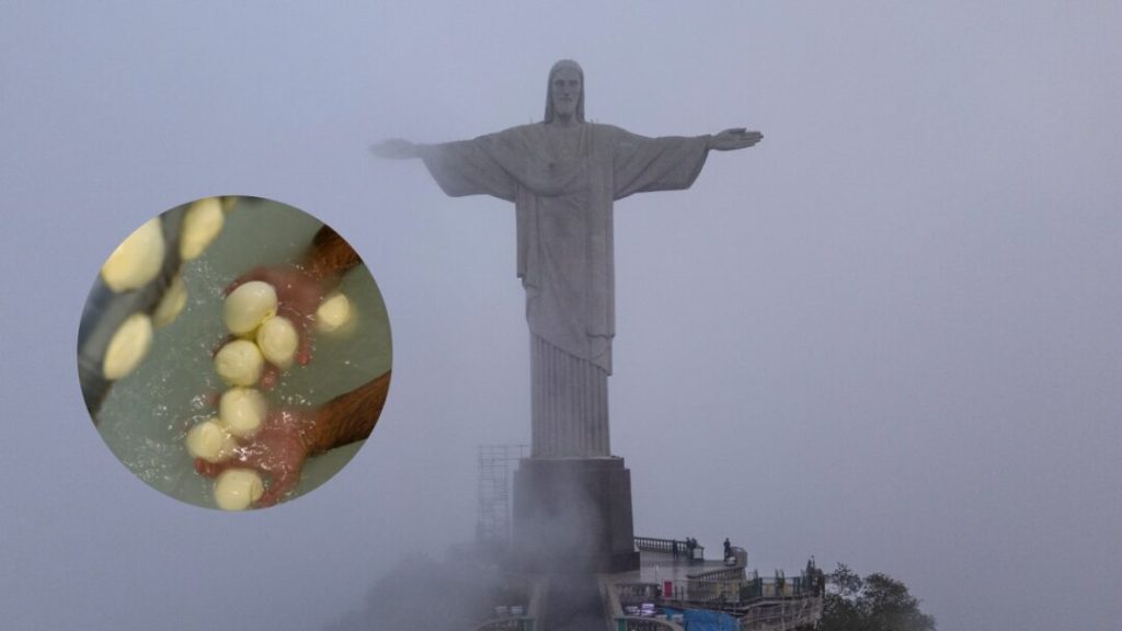 Un queso brasileño es declarado patrimonio de la humanidad por la Unesco