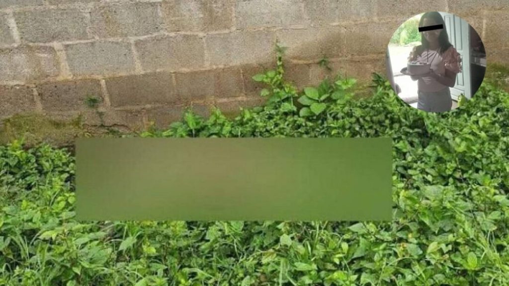 Un grito y la profecía de Dios: la muerte de Nicol, niña que desapareció previo a Navidad