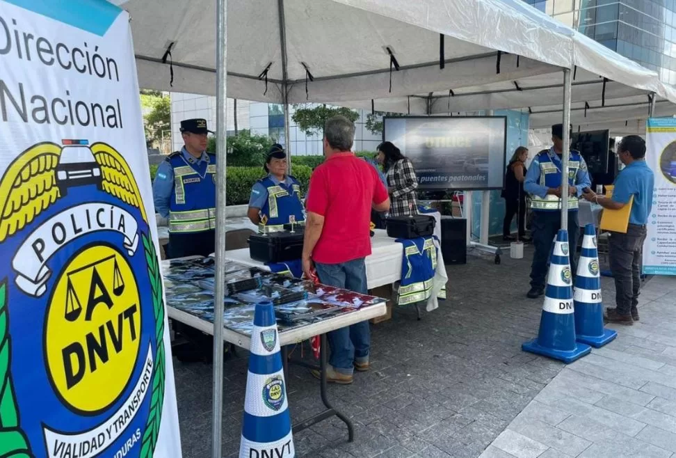 Más de 350,000 licencias de conducir decomisadas durante 2024 en Honduras