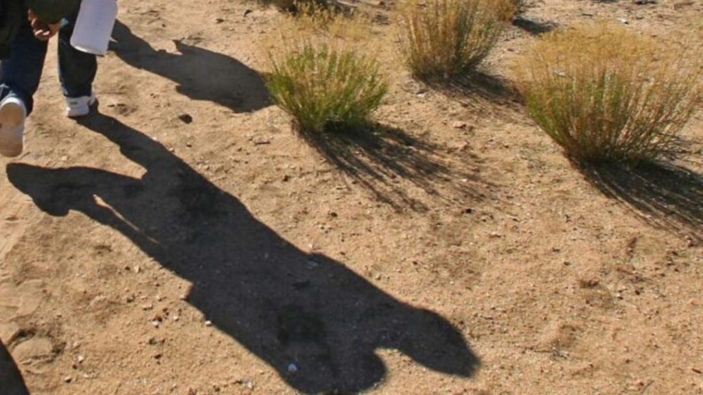 Tráfico de migrantes en América Latina: un negocio millonario