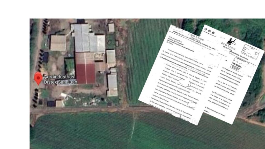 Hasta propiedad adjudicada por el INA fue asegurada por caso Helios: ver listado completo