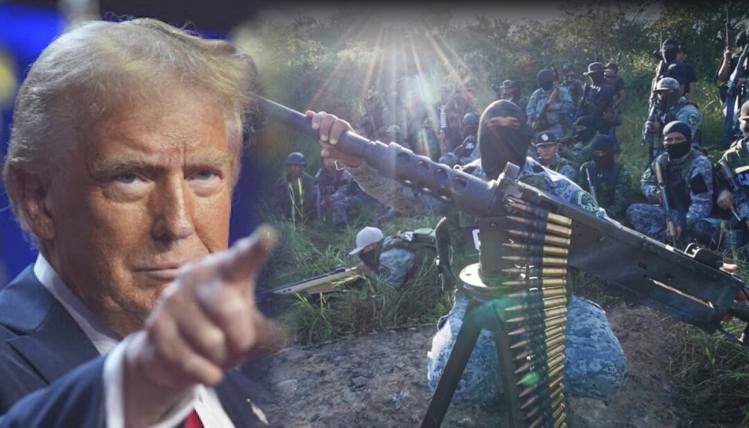 Así operan los ocho grupos criminales de LA que Trump declaró como “organizaciones terroristas extranjeras”