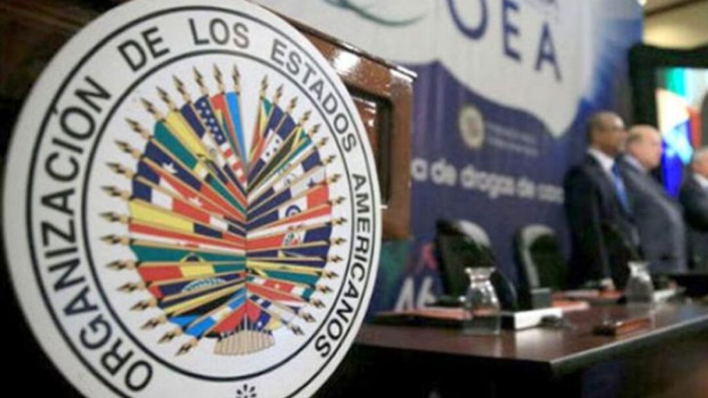 101 observadores de la OEA monitorean las elecciones generales de Honduras