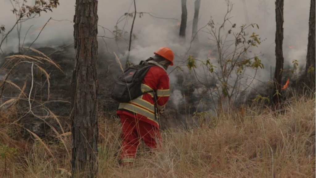 Incendios forestales aumentaron un 144% en marzo en comparación con febrero en Honduras