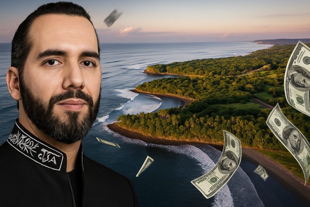Bukele compró por un millón de dólares una playa en zona protegida