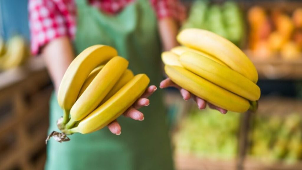 Bananera estadounidense paraliza producción en Panamá por huelga