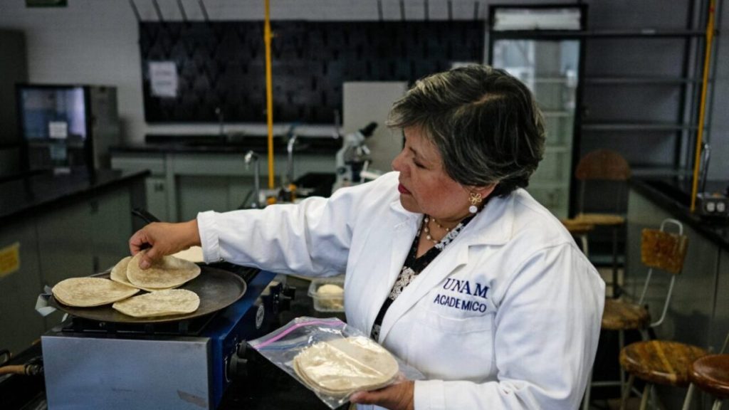 Científicos mexicanos desarrollan tortilla con probióticos que combate la desnutrición