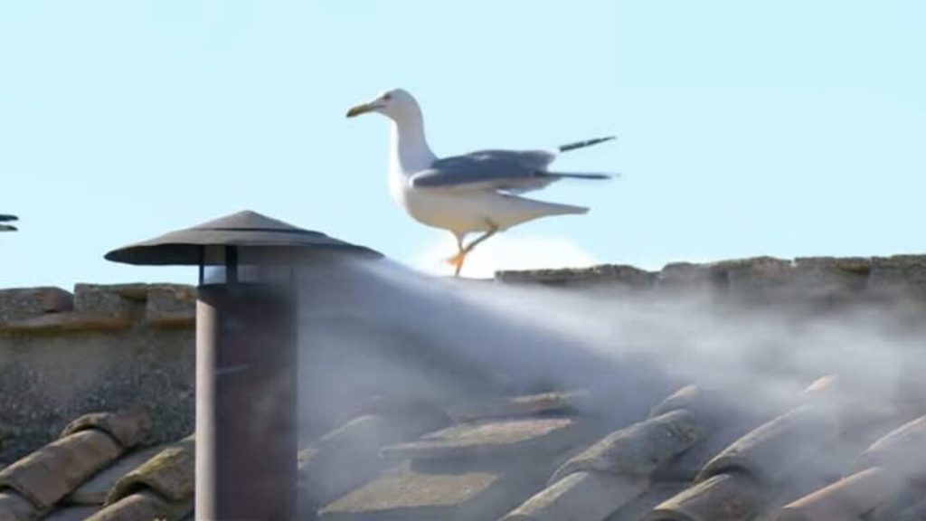 ¡Habemus Papam!. Fumata blanca anuncia la elección del nuevo Papa en el Vaticano