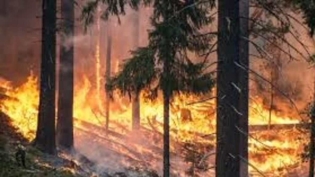 Dos muertos en un violento incendio forestal en España en medio de la ola de calor