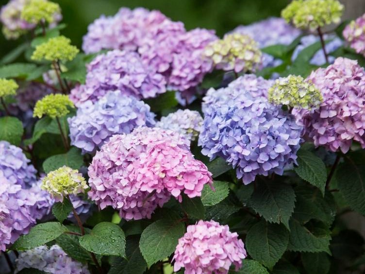 decoracion_boda_taylor_swift